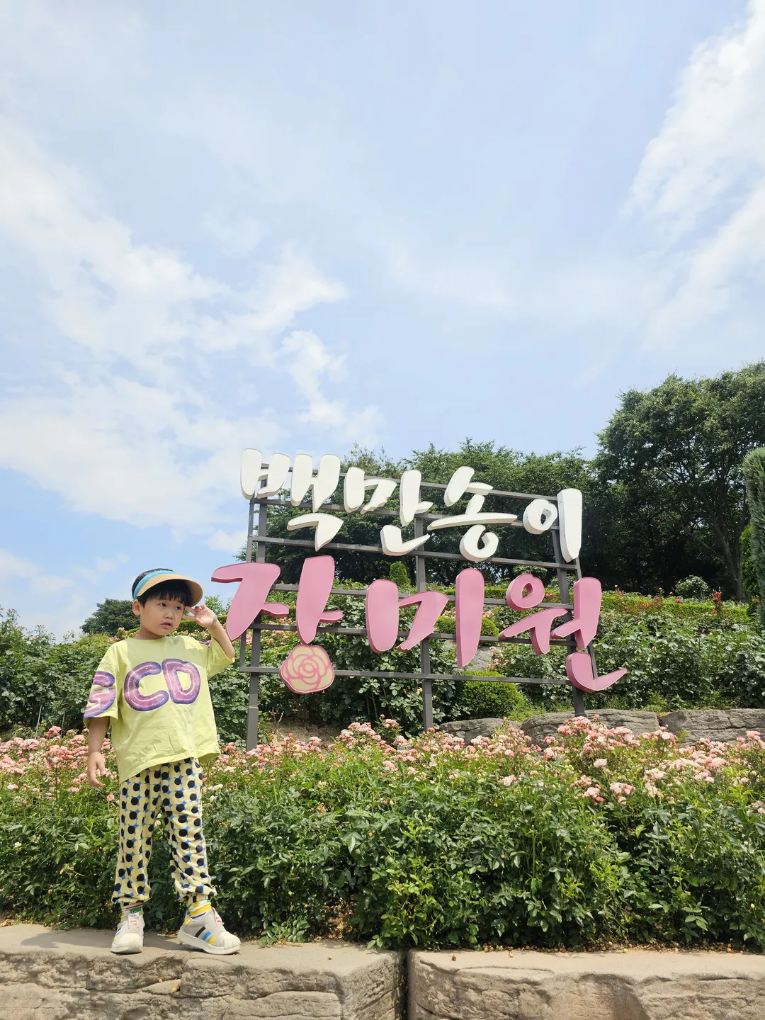 부천백만송이장미원 & 도당하늘숲 사진 10