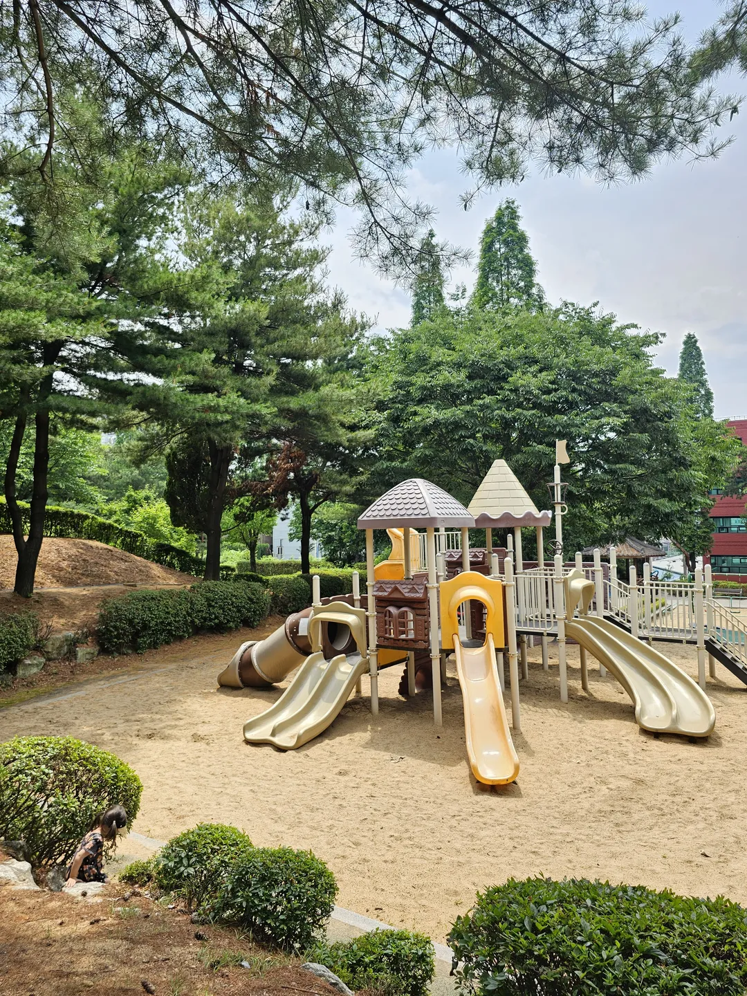 부천백만송이장미원 & 도당하늘숲 사진 16