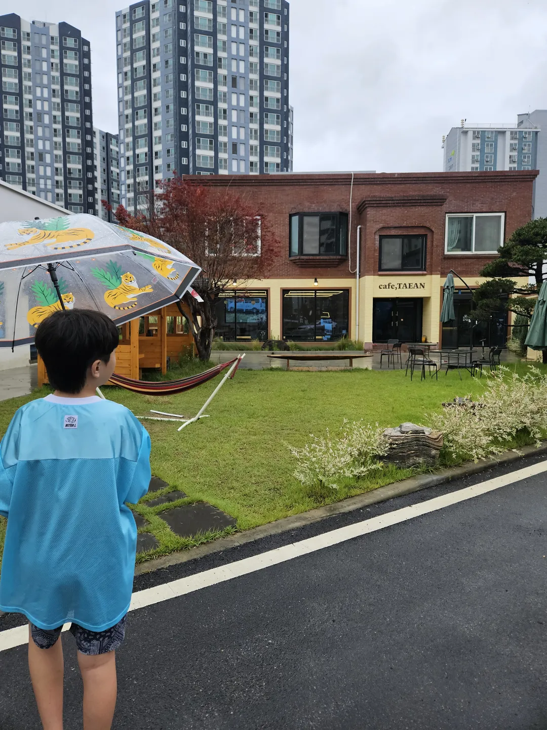 카페,태안