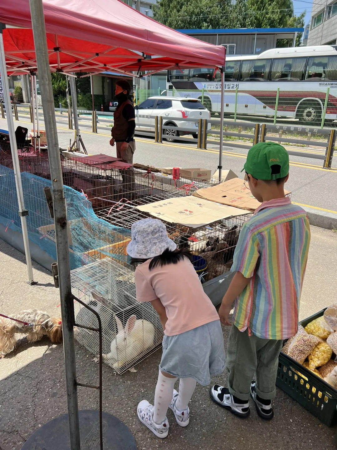 김포장