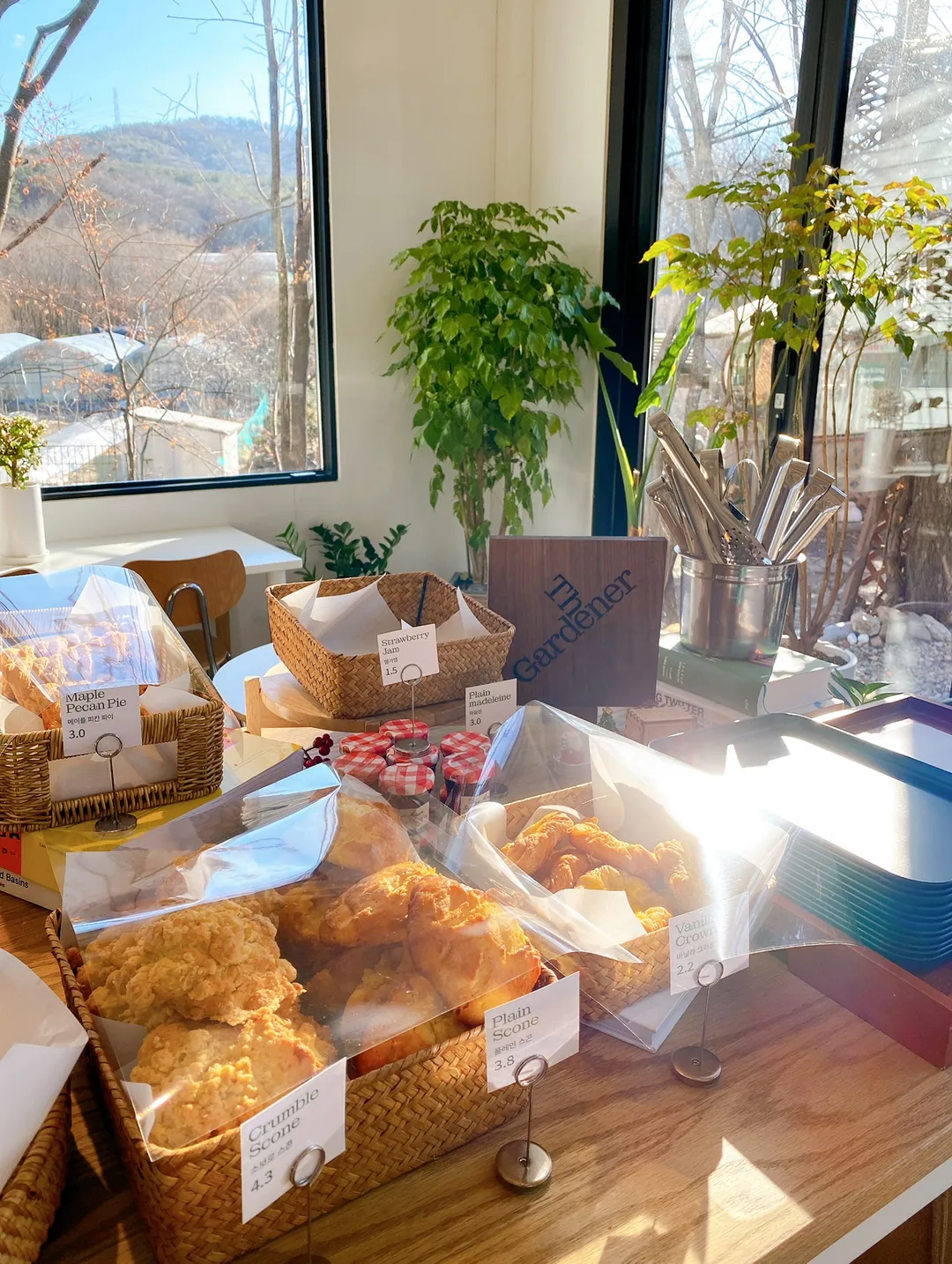 더가드너 사진 10