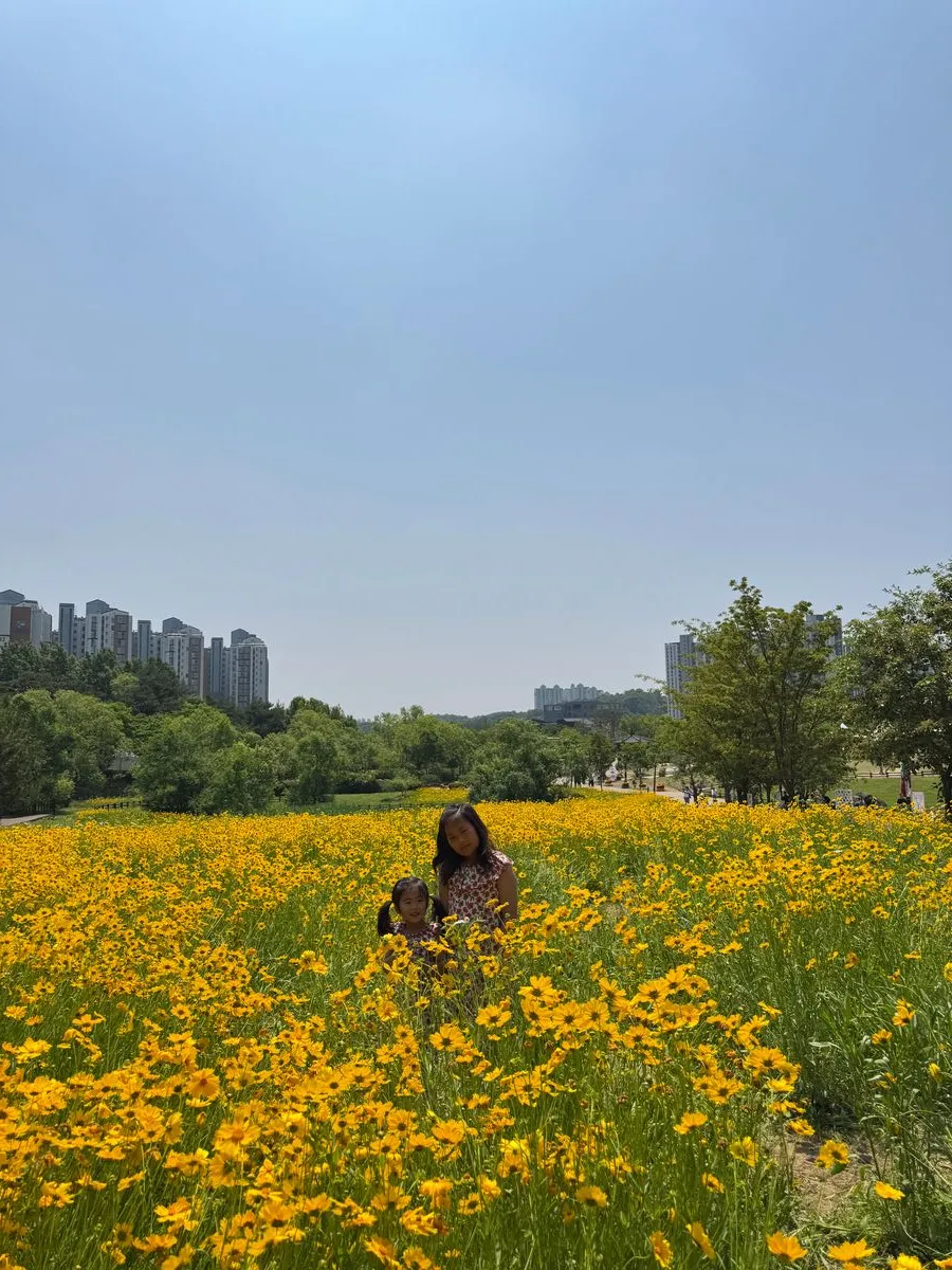 오산 고인돌공원 사진 20