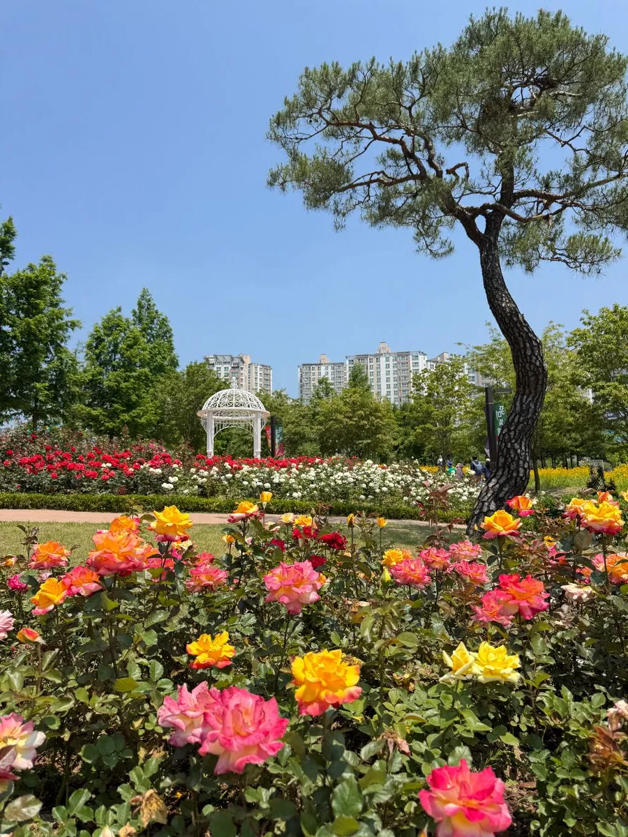 오산 고인돌공원 사진 13