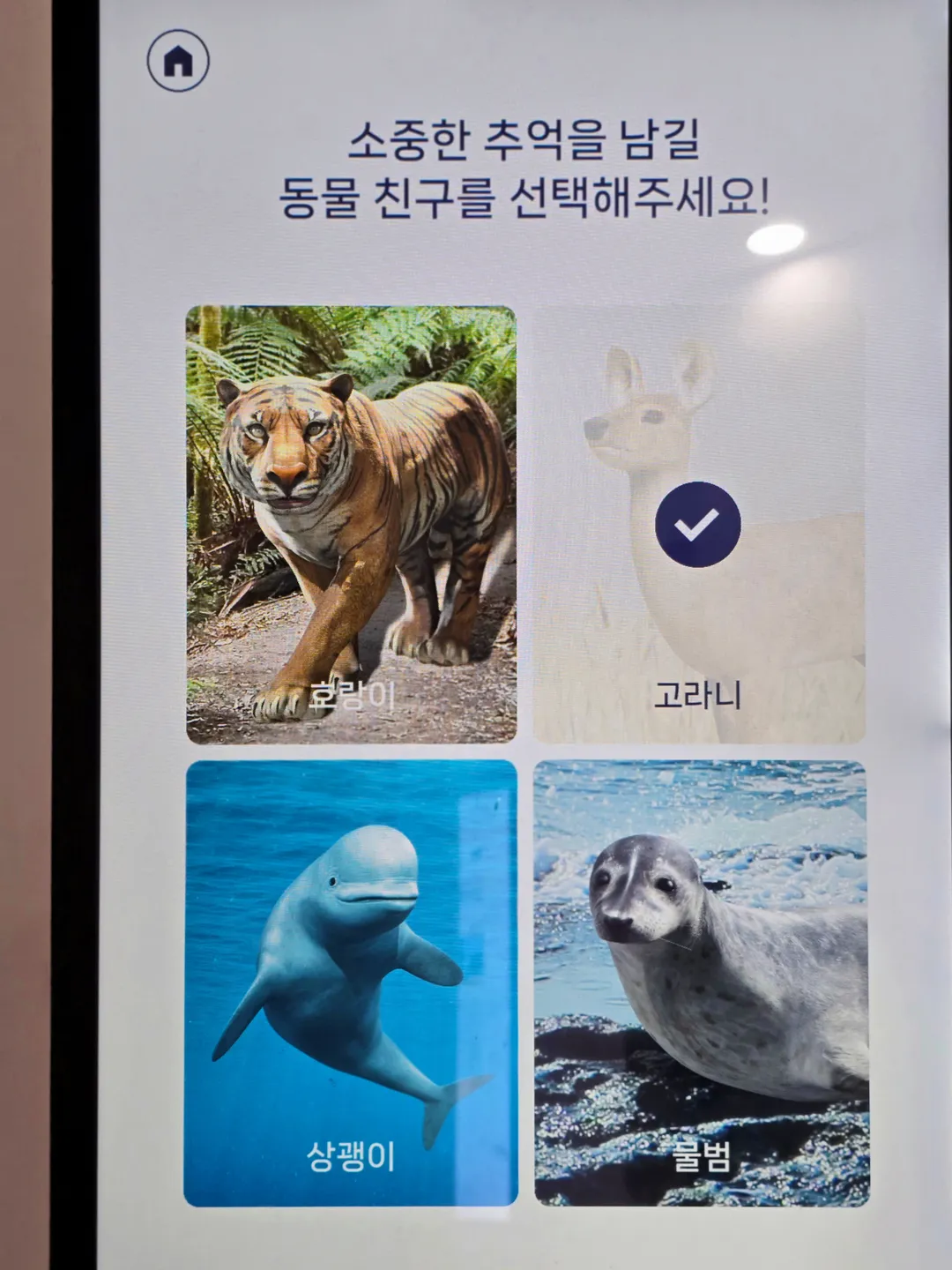 강화평화전망대 사진 12
