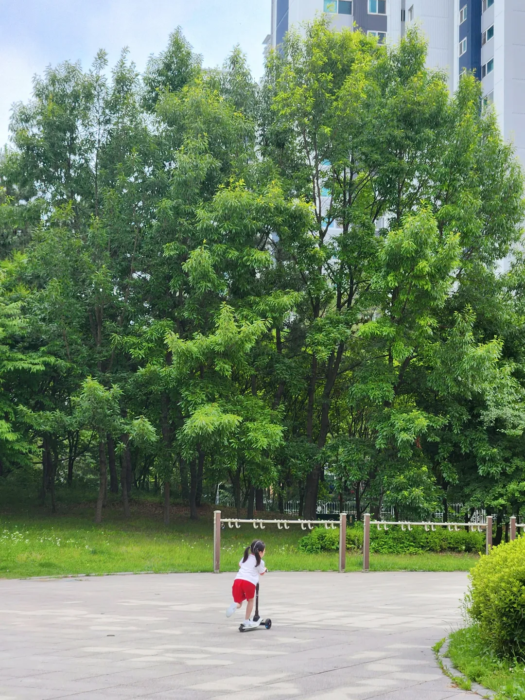 새아침공원 사진 7