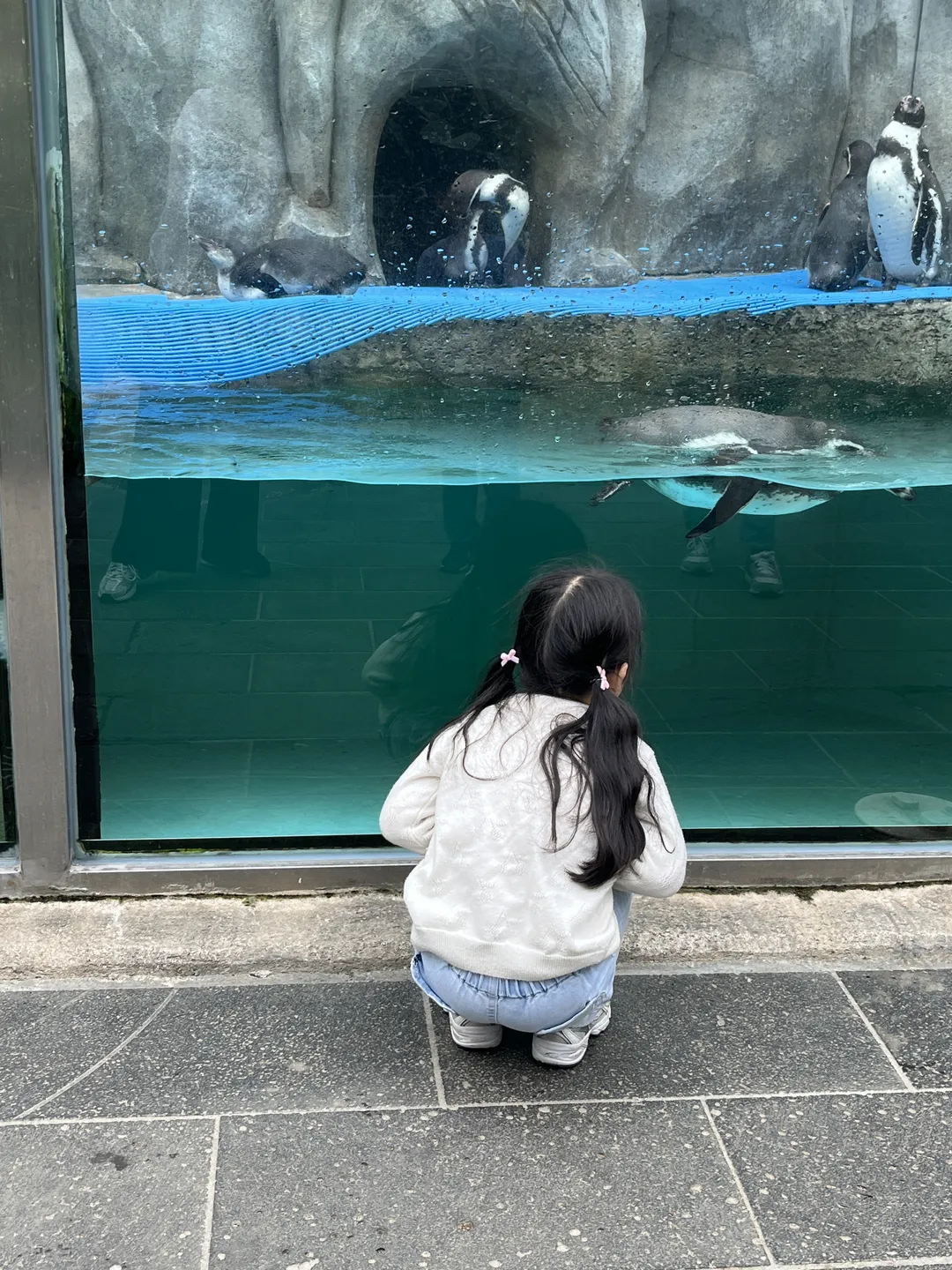 대전오월드버드랜드