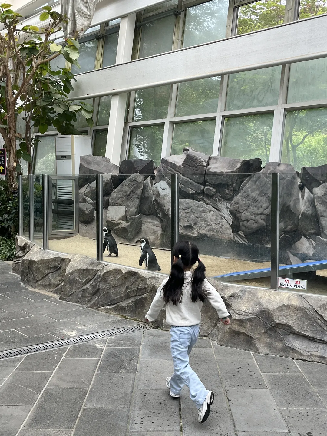 대전오월드버드랜드