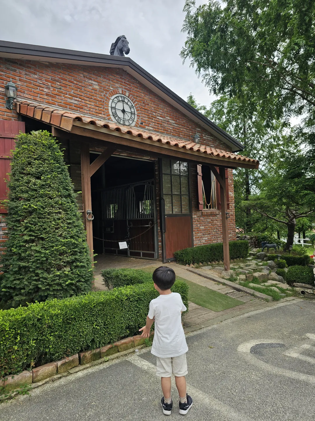 덕소승마클럽 사진 14