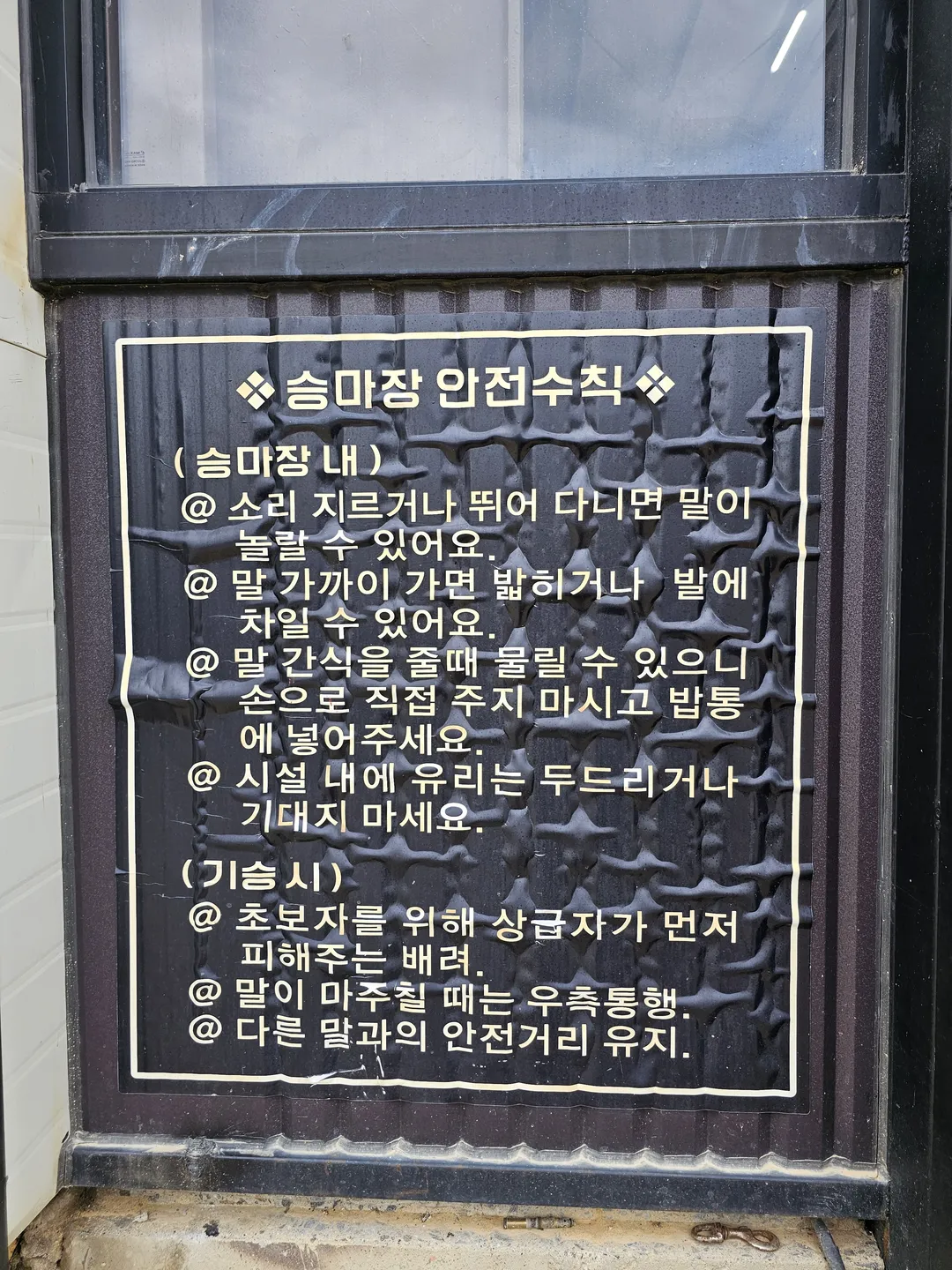 덕소승마클럽 사진 20
