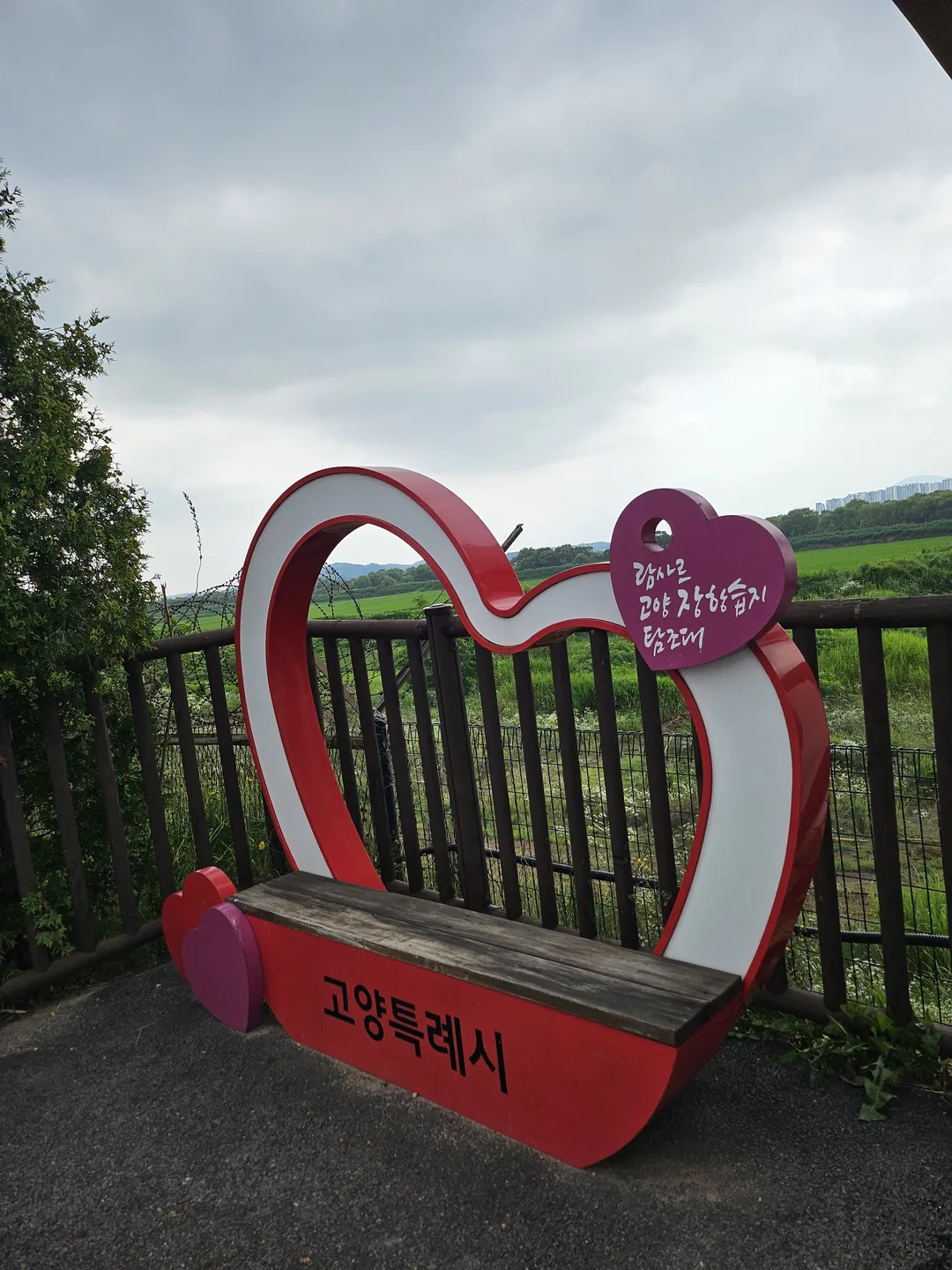람사르 고양 장항습지생태관 사진 26