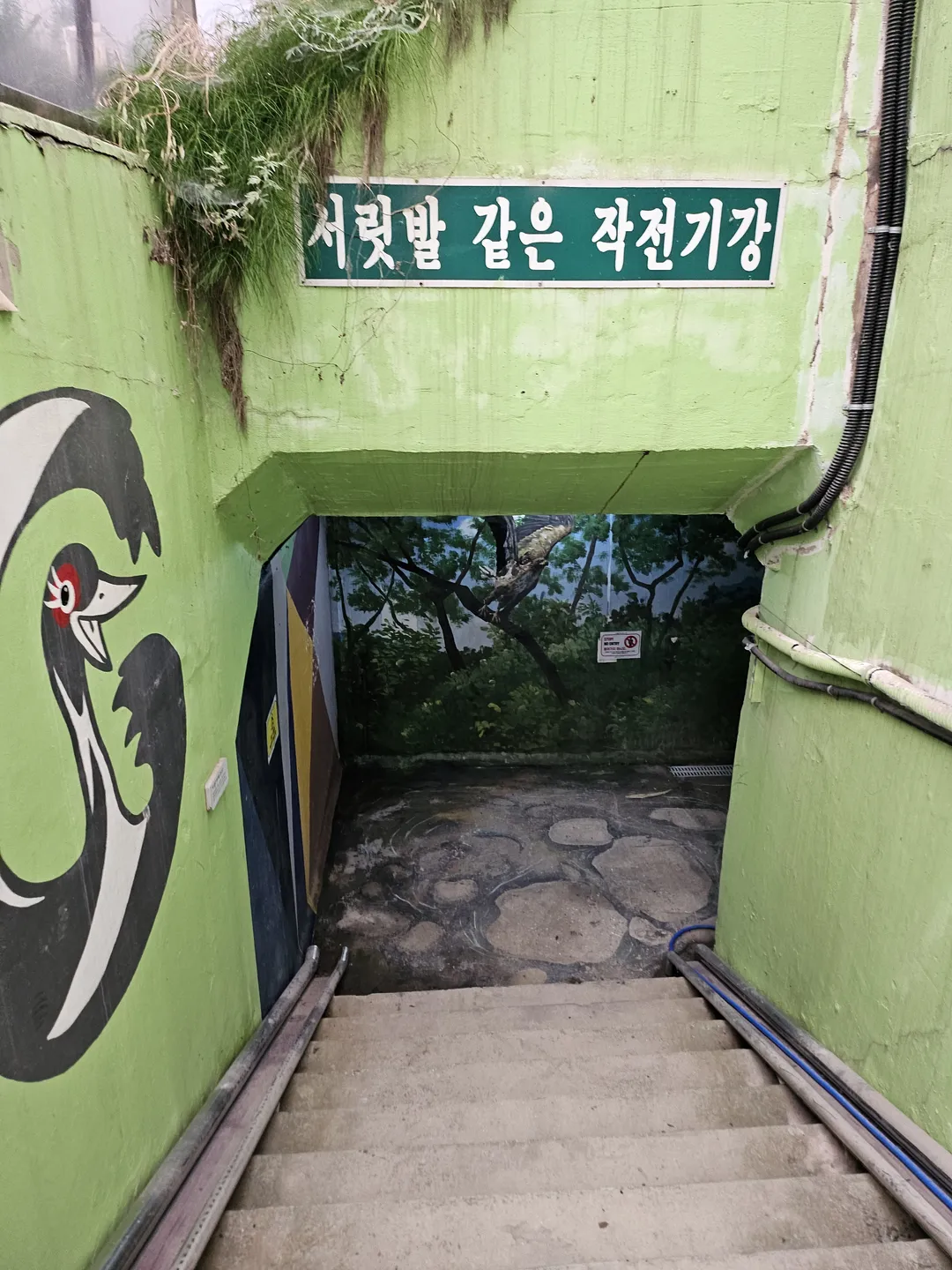 람사르 고양 장항습지생태관 사진 34