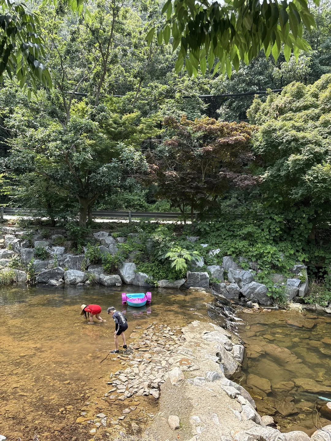 Illang Illang photo 16