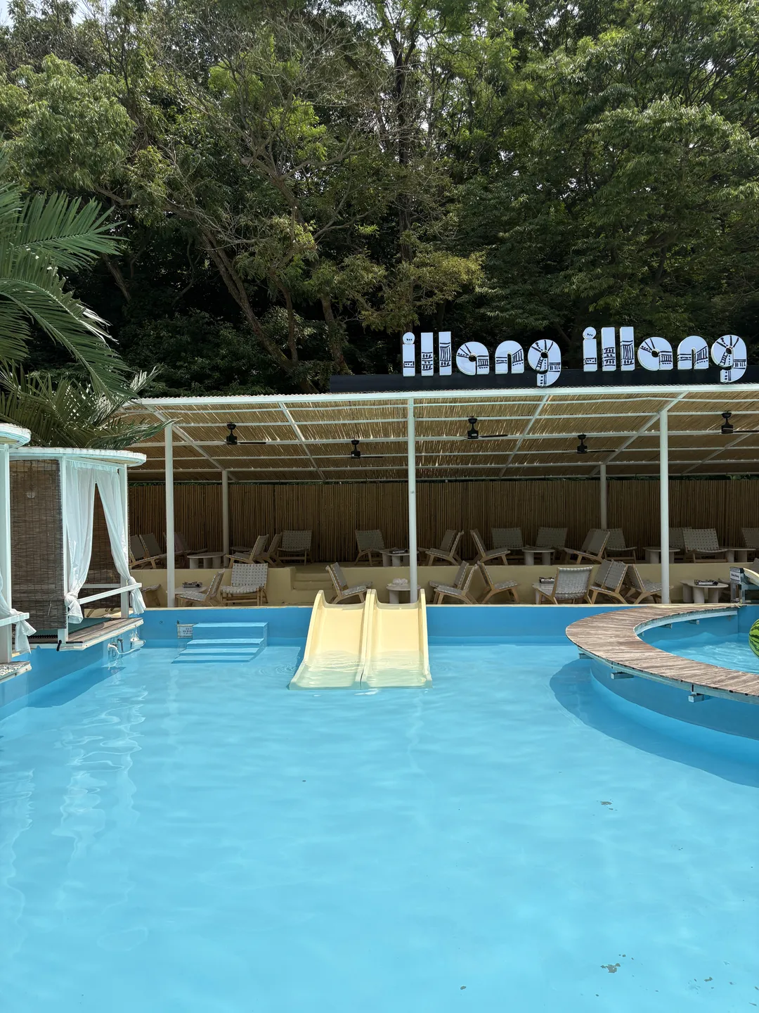 Illang Illang photo 11