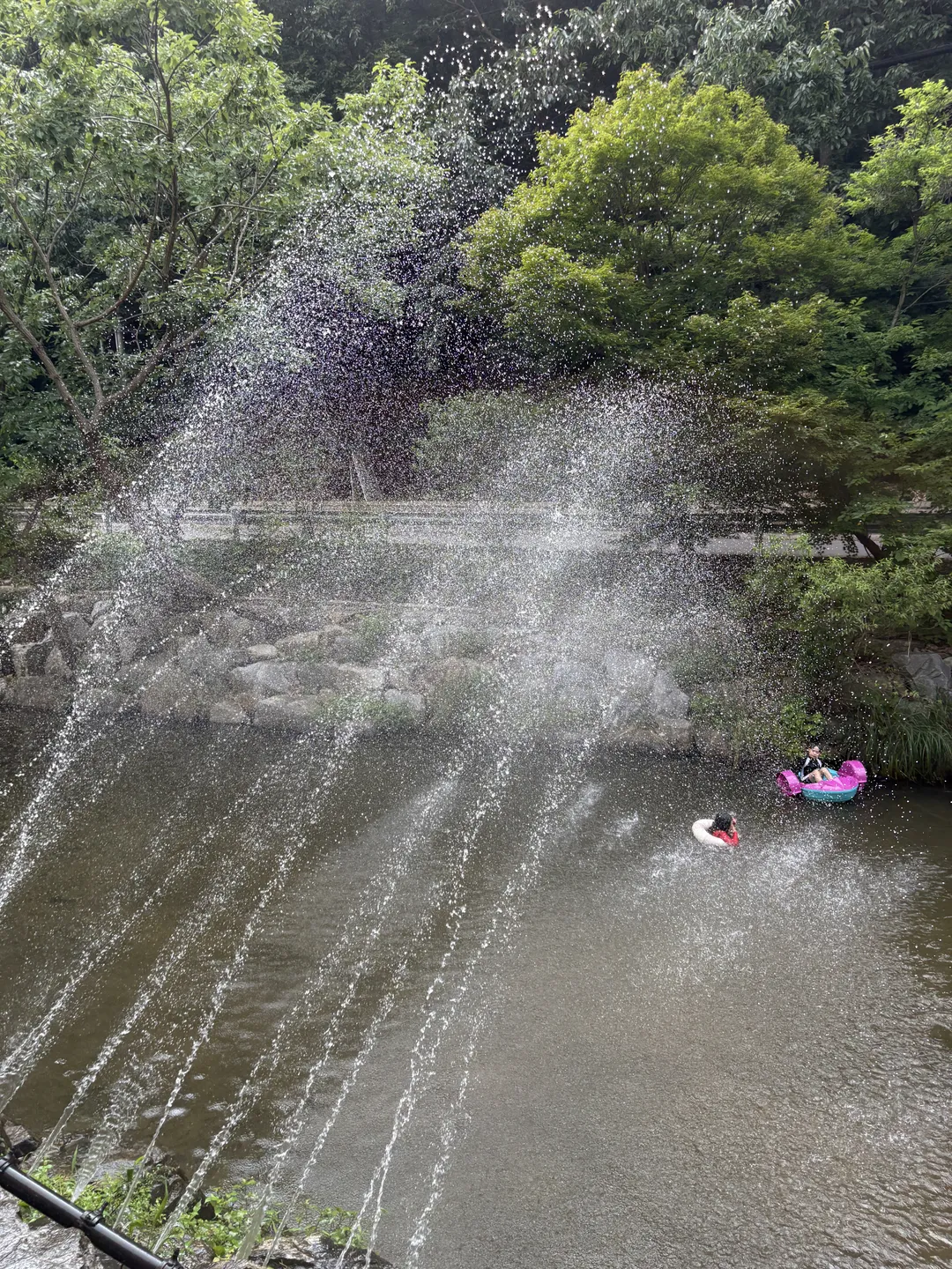 Illang Illang photo 18