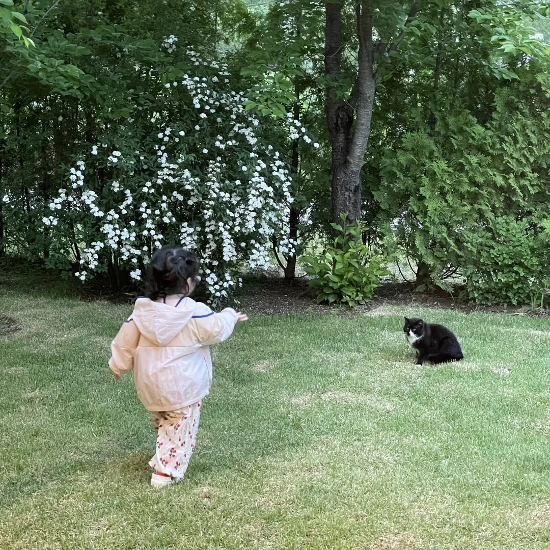 チェクソゲプンドン 写真 10