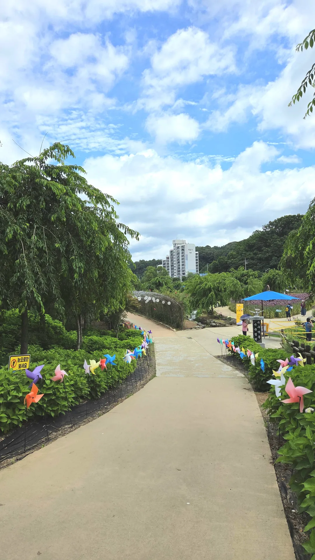 유구 색동수국정원