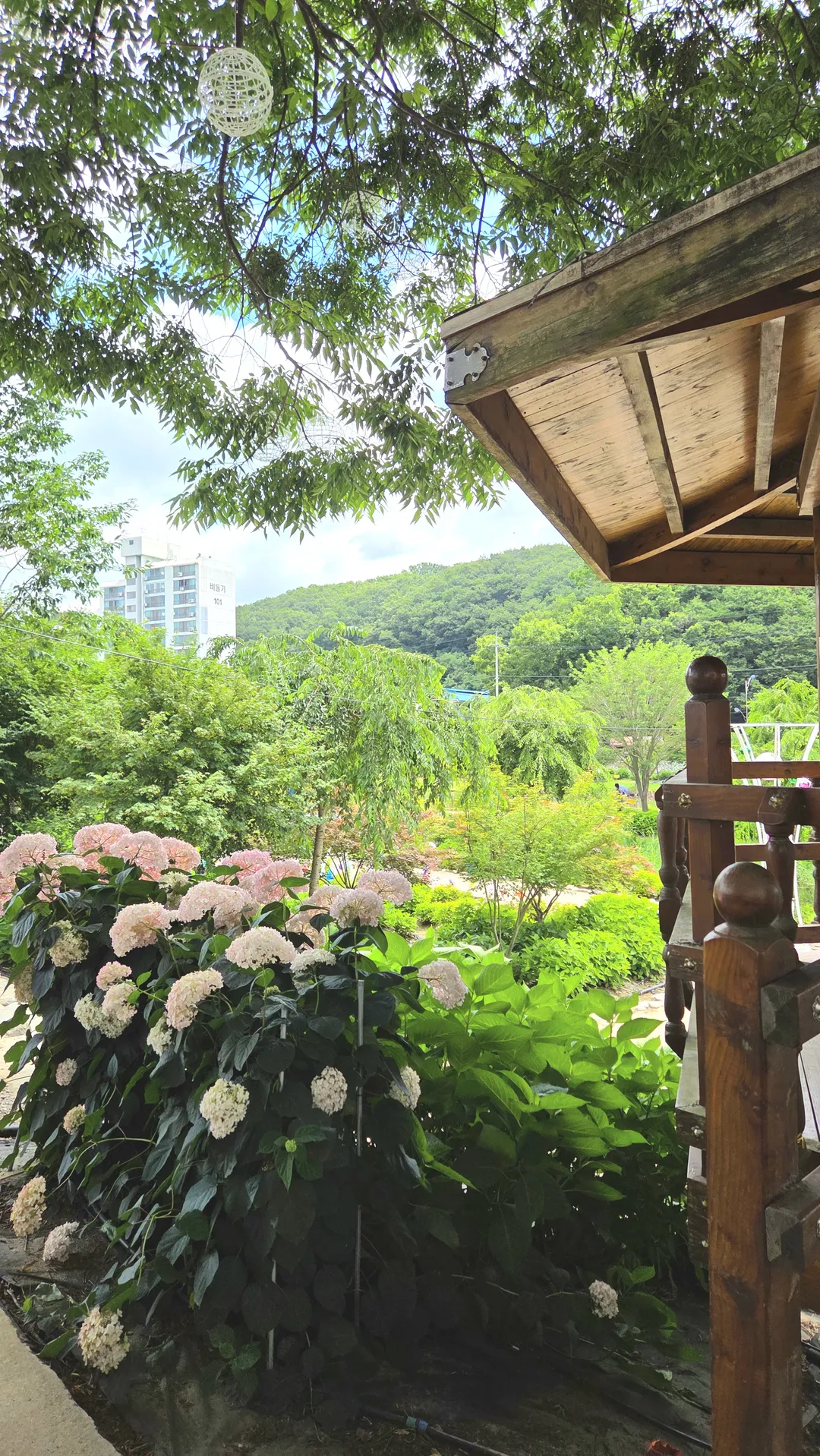 유구 색동수국정원 사진 6