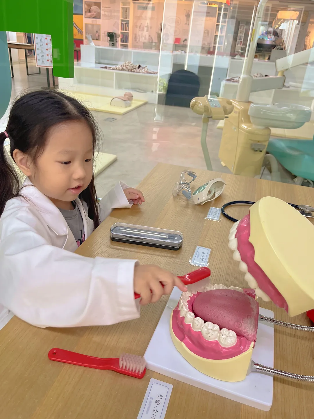 메디테리움 의학박물관 사진 14