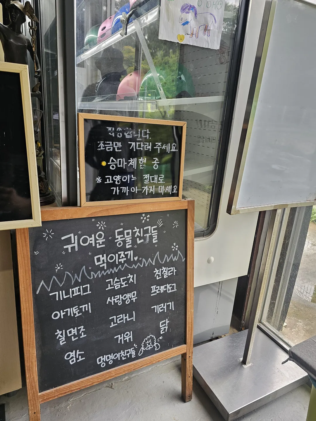 플레이애니멍 사진 19