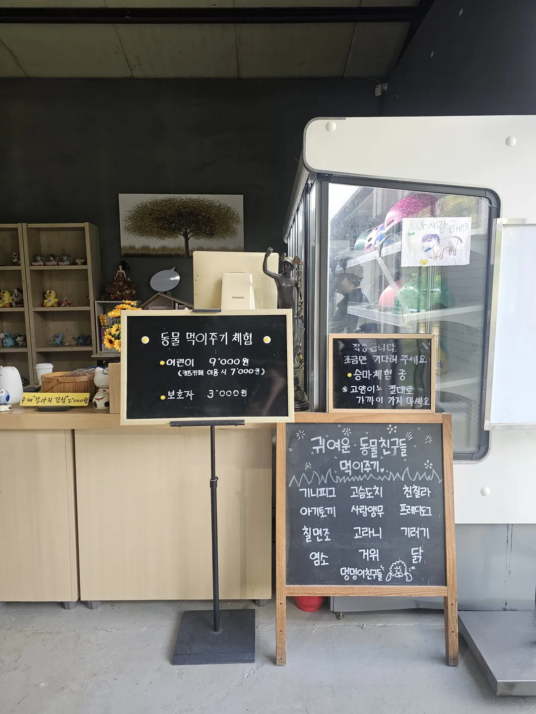 플레이애니멍 사진 20