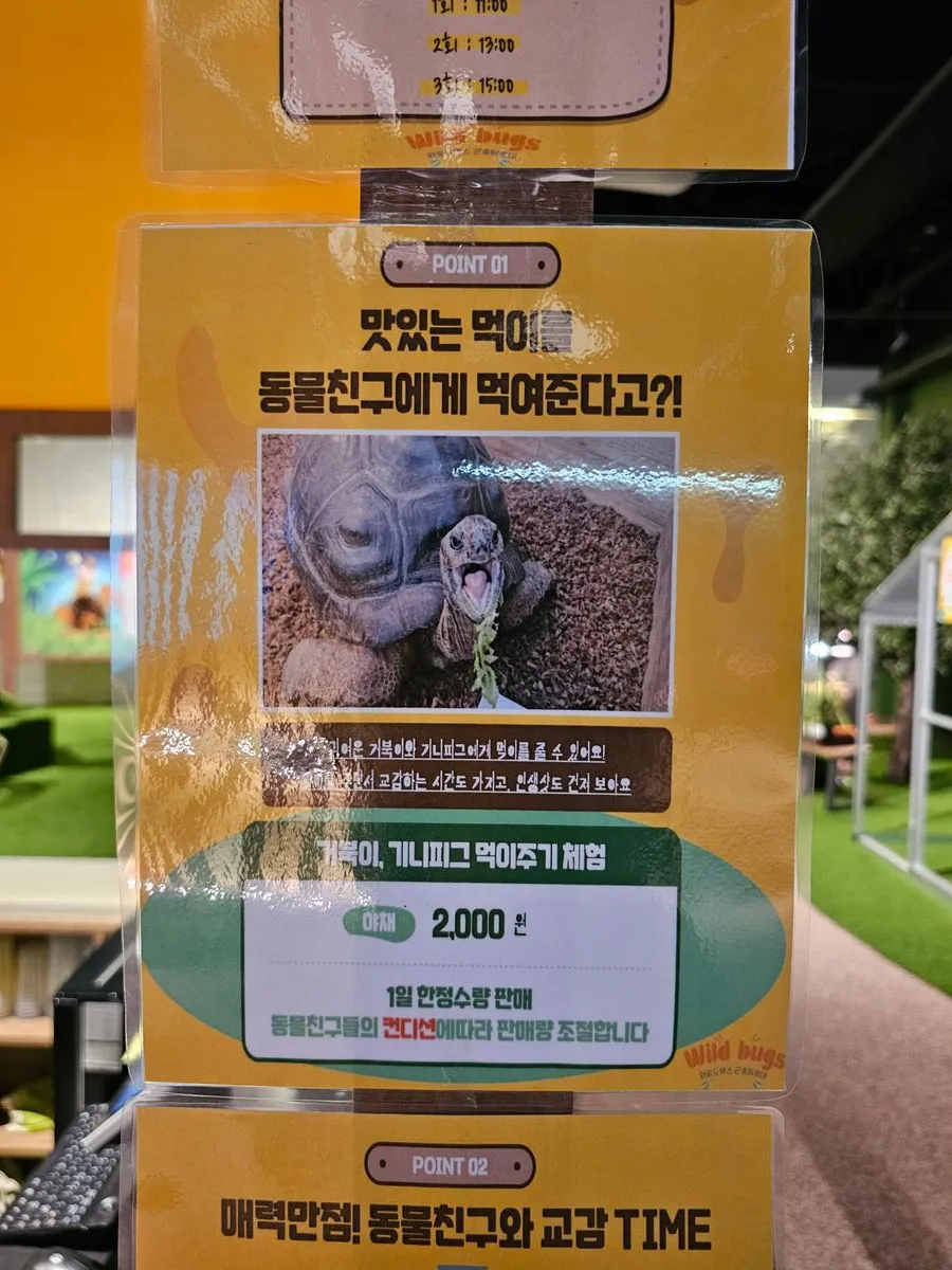 와일드벅스 곤충탐험대 사진 10