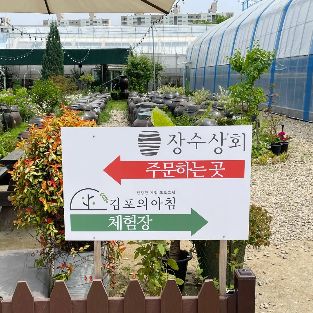 김포의아침 사진 9