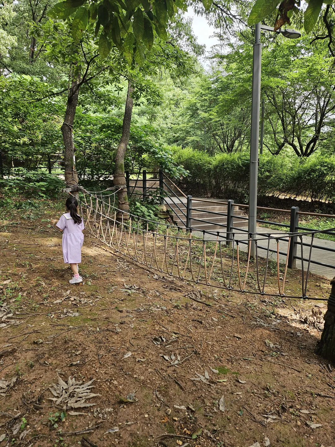 양곡유아숲체험원 사진 8