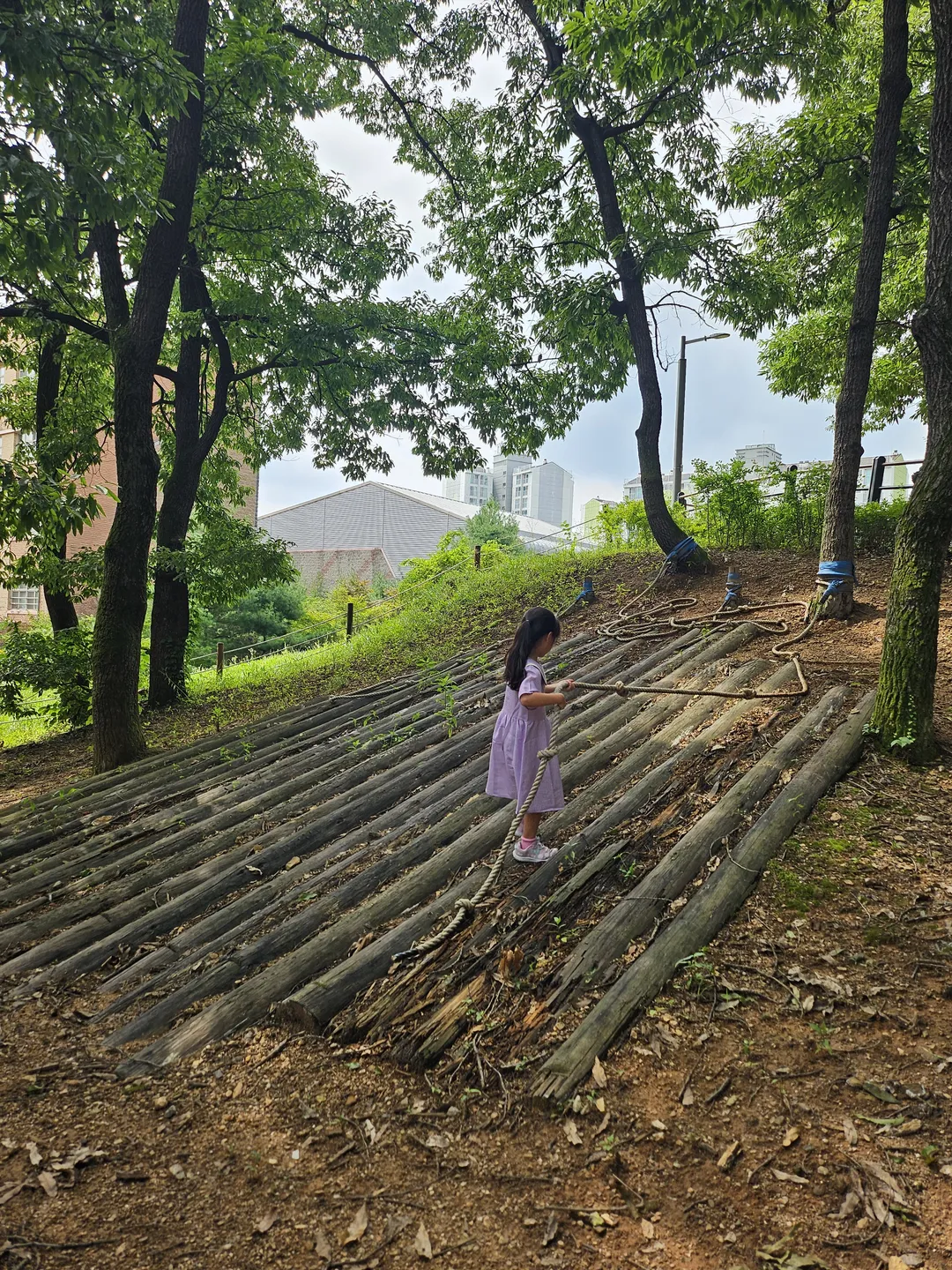 양곡유아숲체험원 사진 6