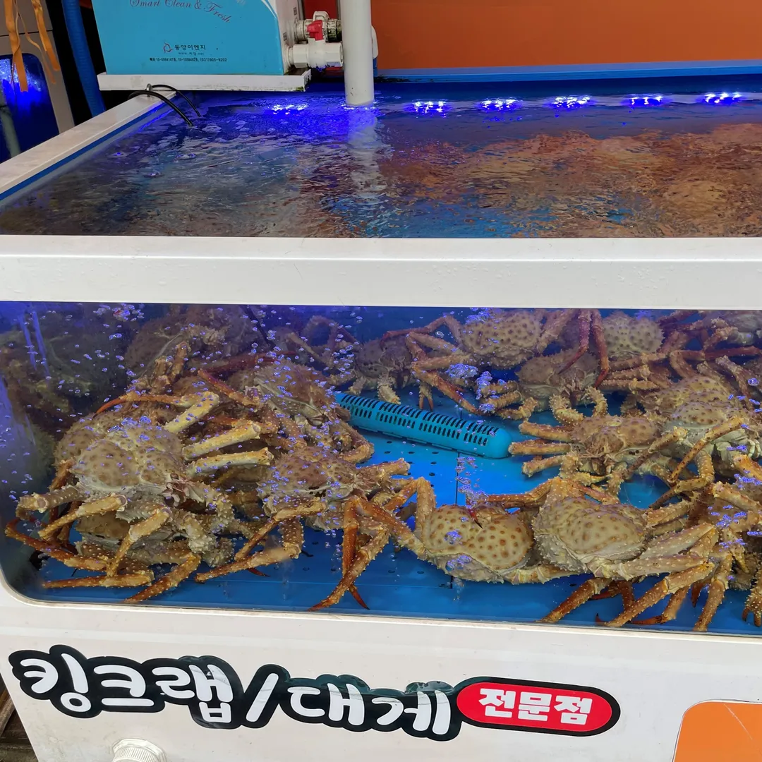 テゲガ 写真 9