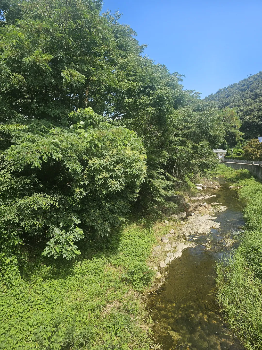 산골가든 사진 20