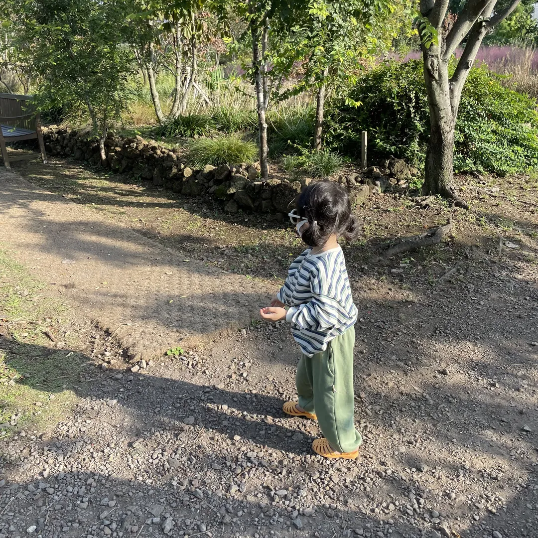 ベケ 写真 10
