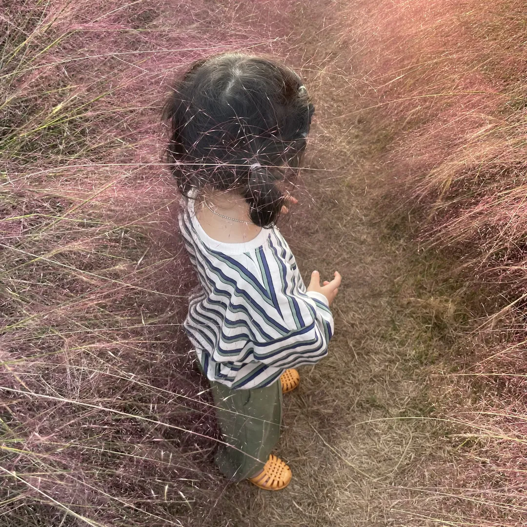 ベケ 写真 6