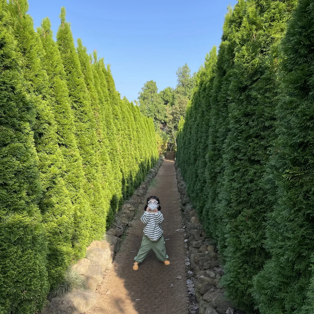 ベケ 写真 8