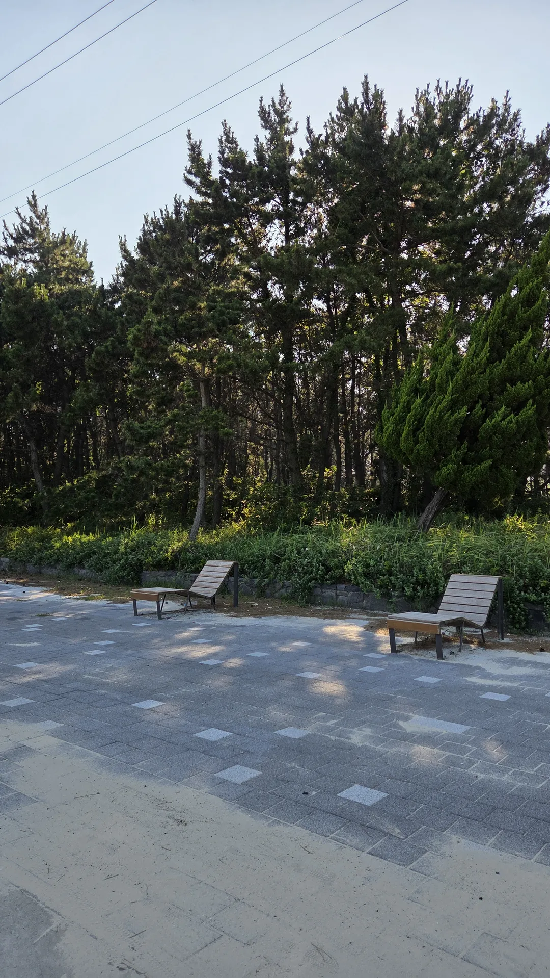 호도 
