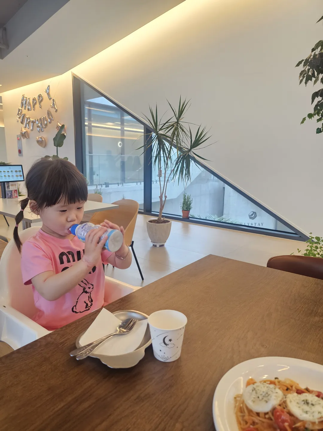 올레 보령
