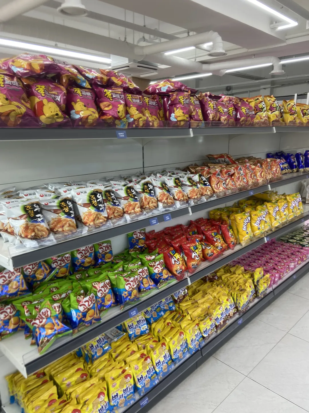 アマゾンアクアパークタンジン 写真 30