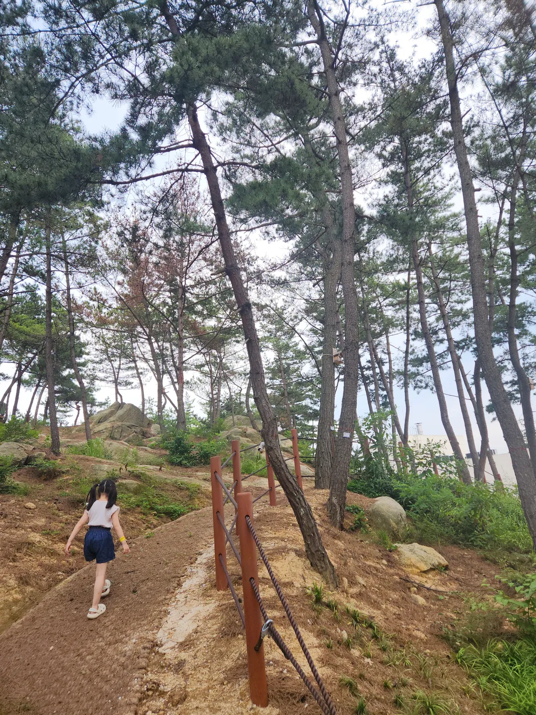 백화산유아숲체험원 사진 7