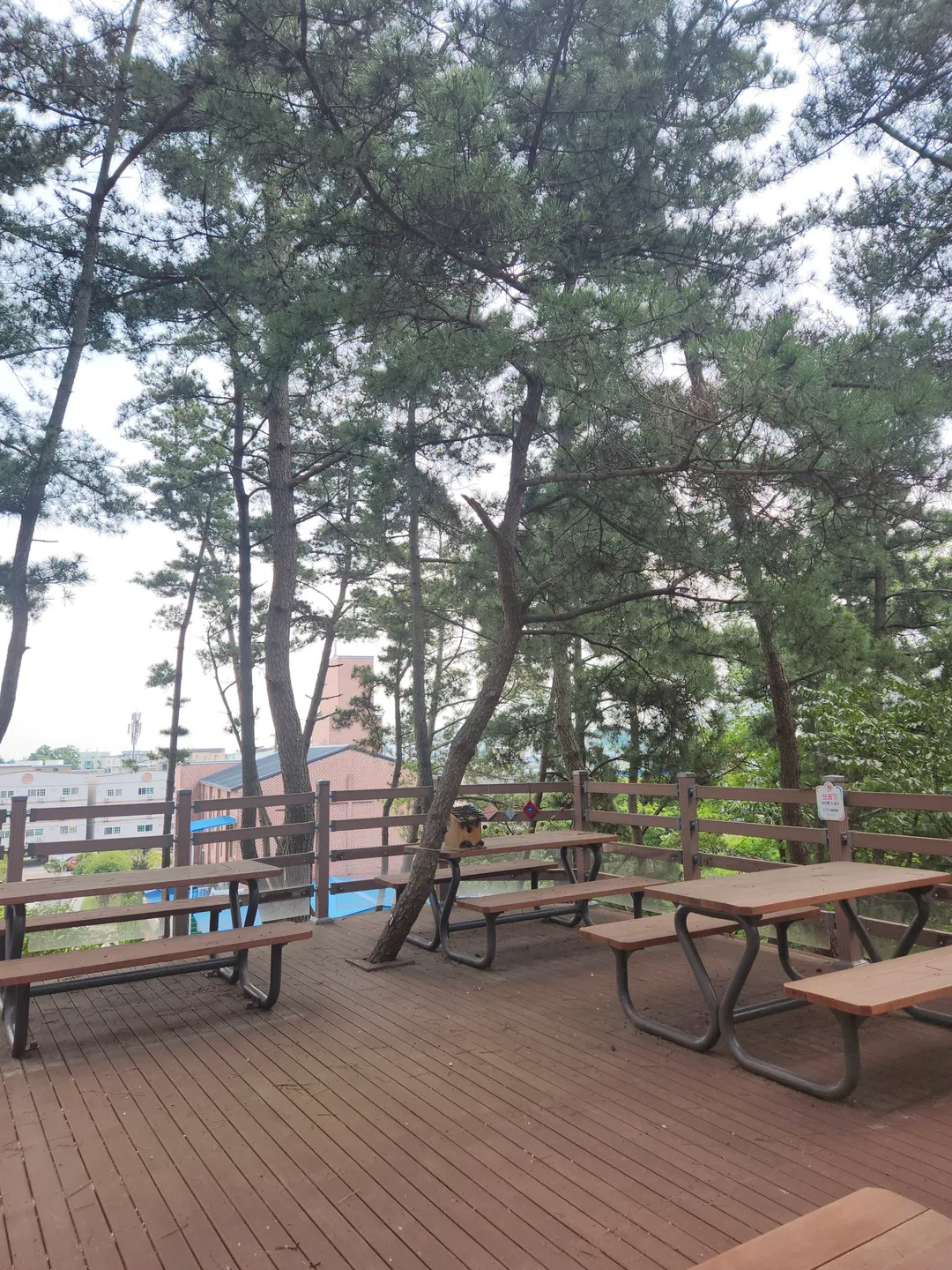 백화산유아숲체험원 사진 6