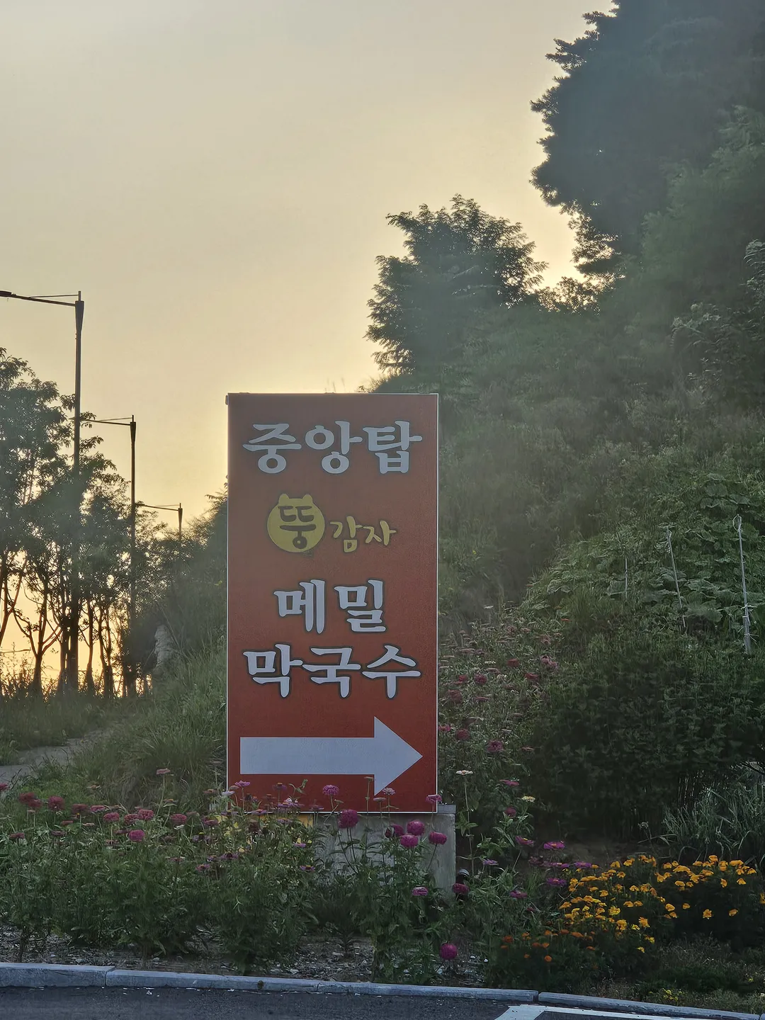 중앙탑뚱감자메밀막국수 원주점 사진 12