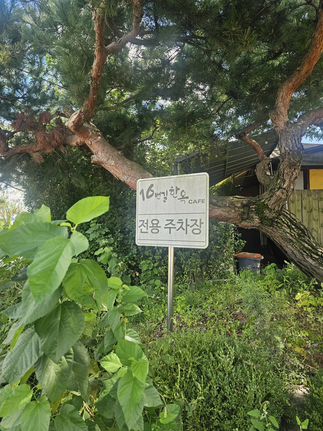 16번길한옥카페 사진 24