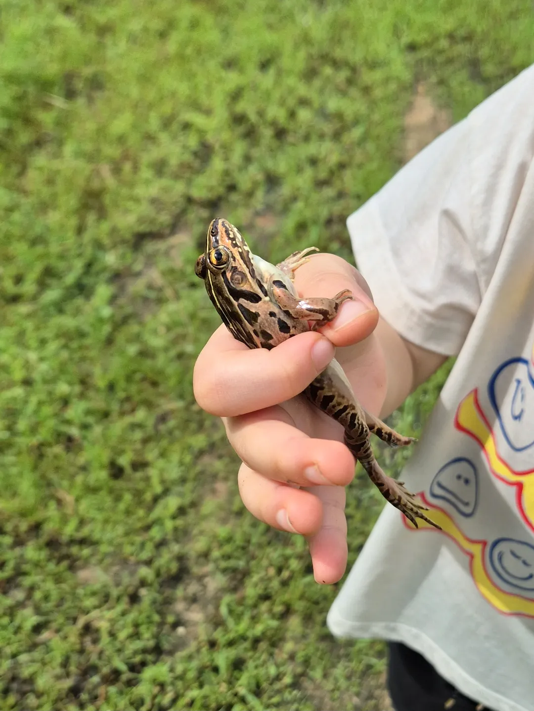 로터스하우스 사진 7