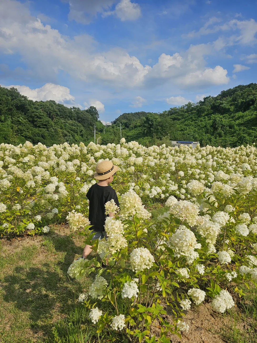 모멘도르