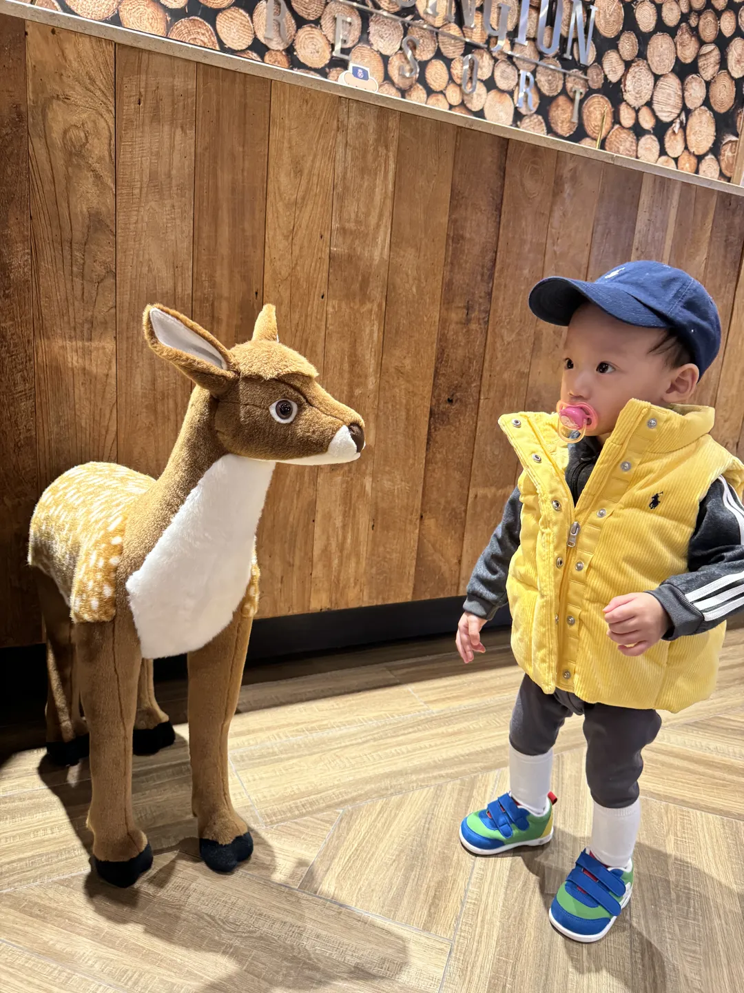 켄싱턴리조트 설악밸리 사진 8