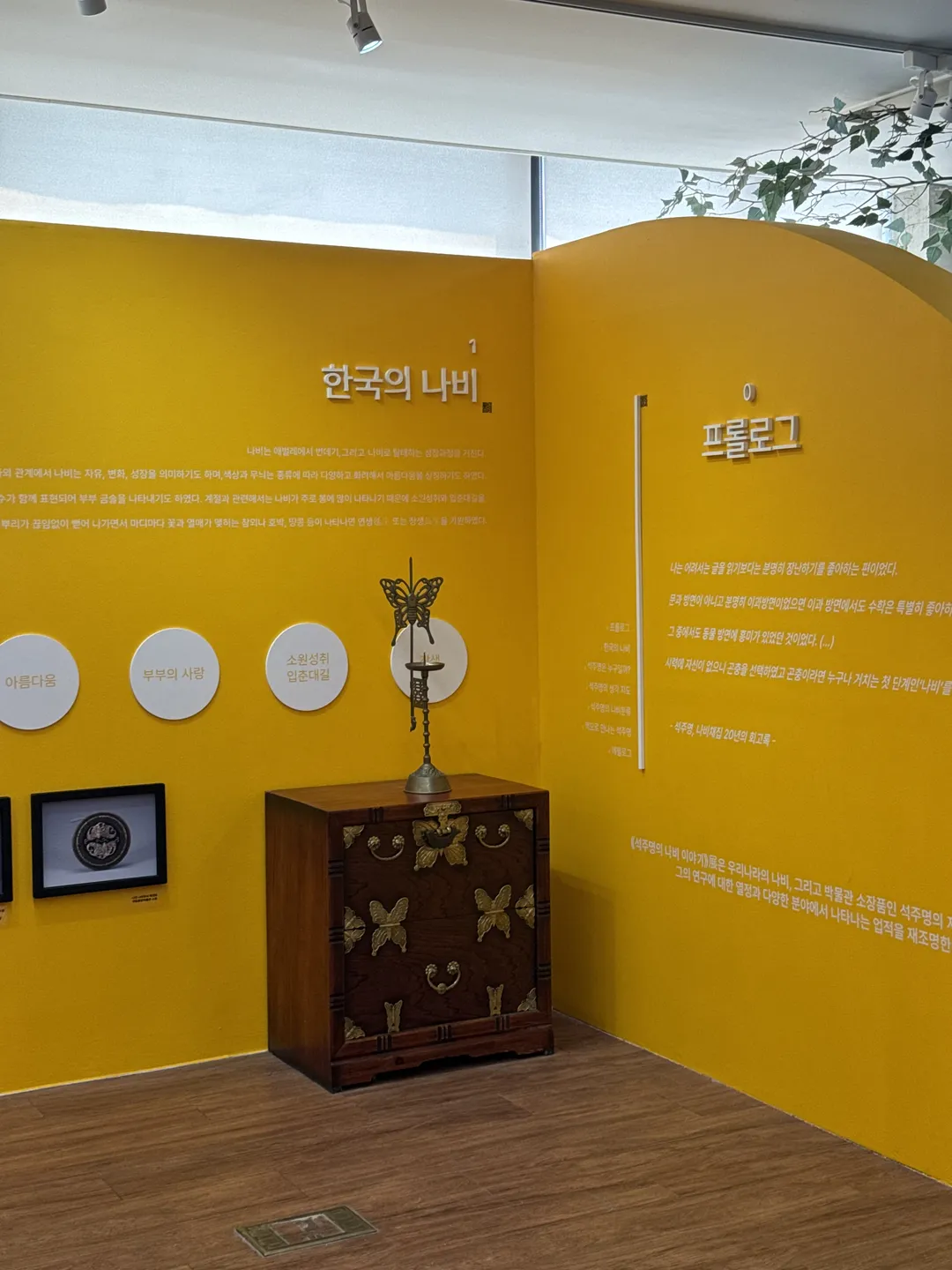 파주나비나라박물관 사진 12