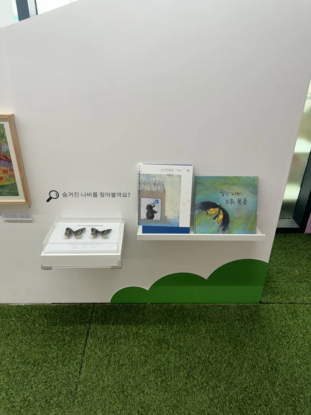 파주나비나라박물관 사진 11