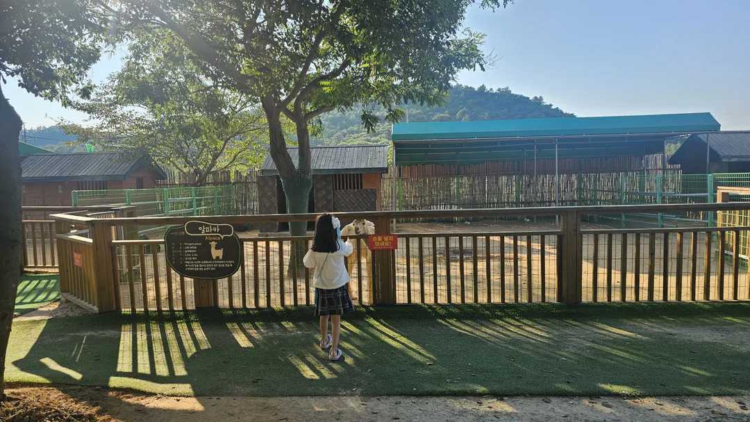 함평양서파충류생태공원 사진 8