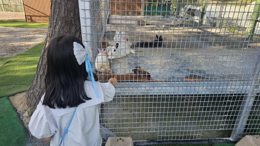 함평양서파충류생태공원 사진 10