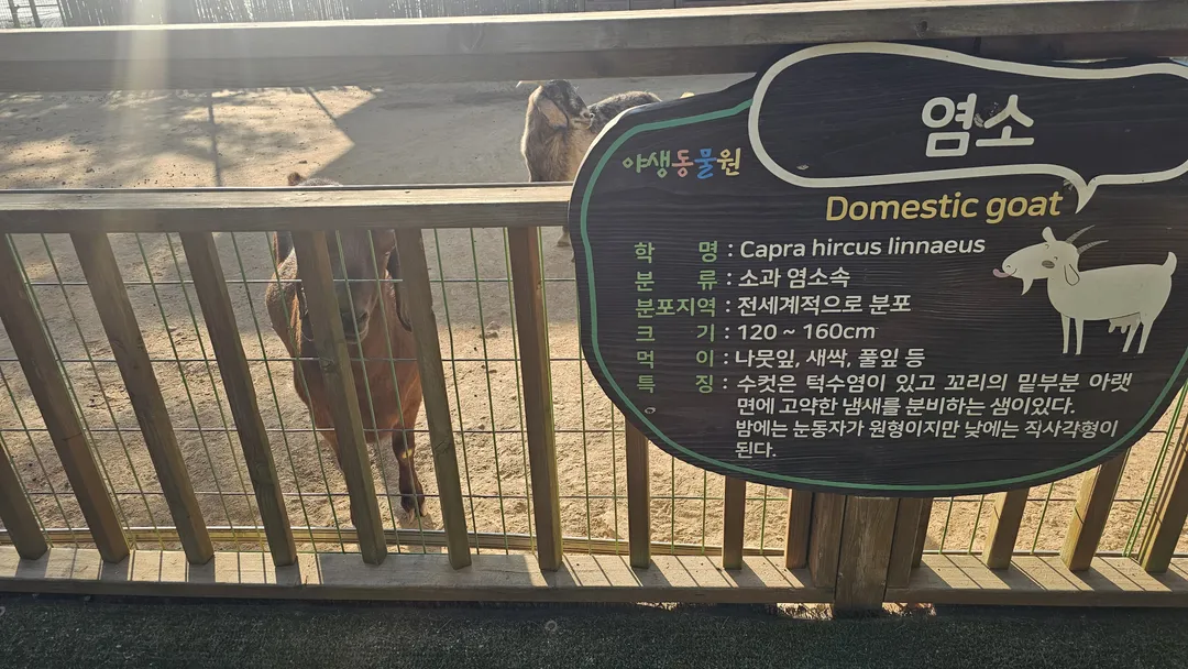함평양서파충류생태공원 사진 9
