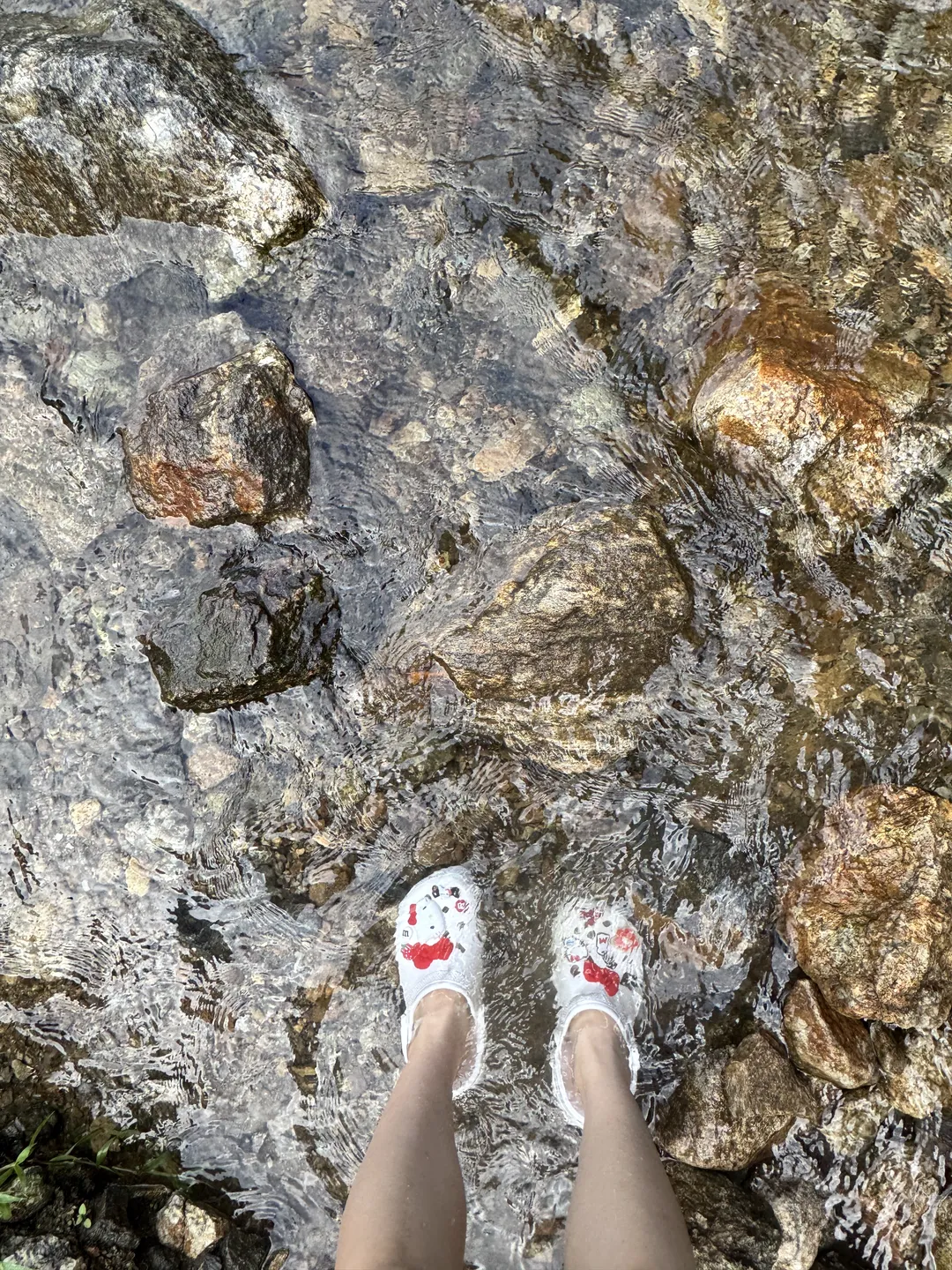 스타벅스 용인고기동유원지점 사진 7