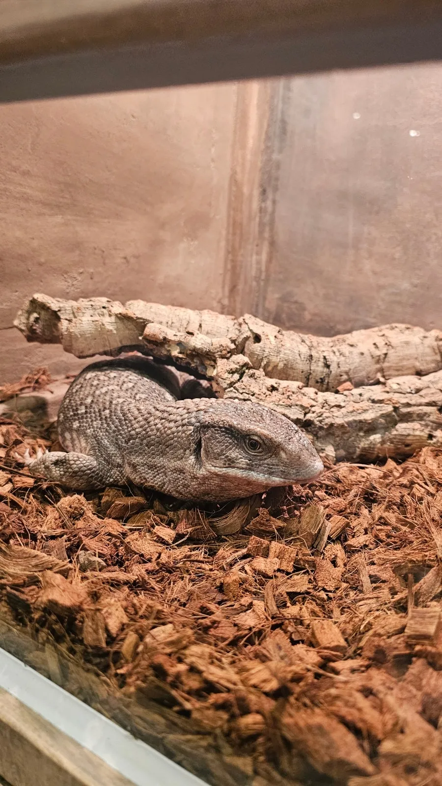 ジュジュピングワールド 写真 20